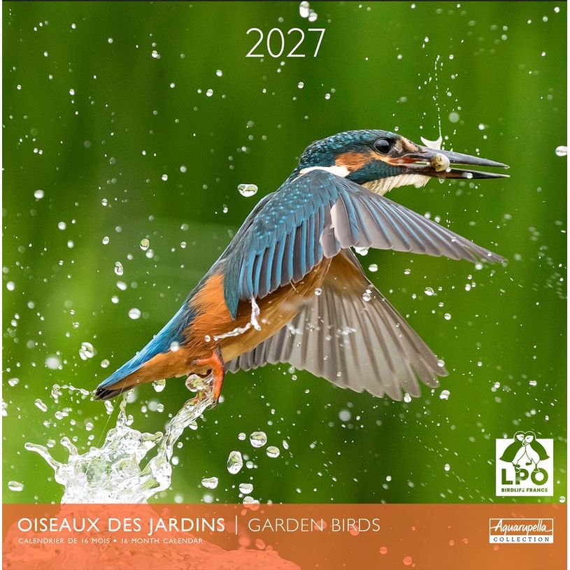 3494150185125-Calendrier mensuel 30X30cm OISEAUX DES JARDINS - PARTENARIART LPO --0