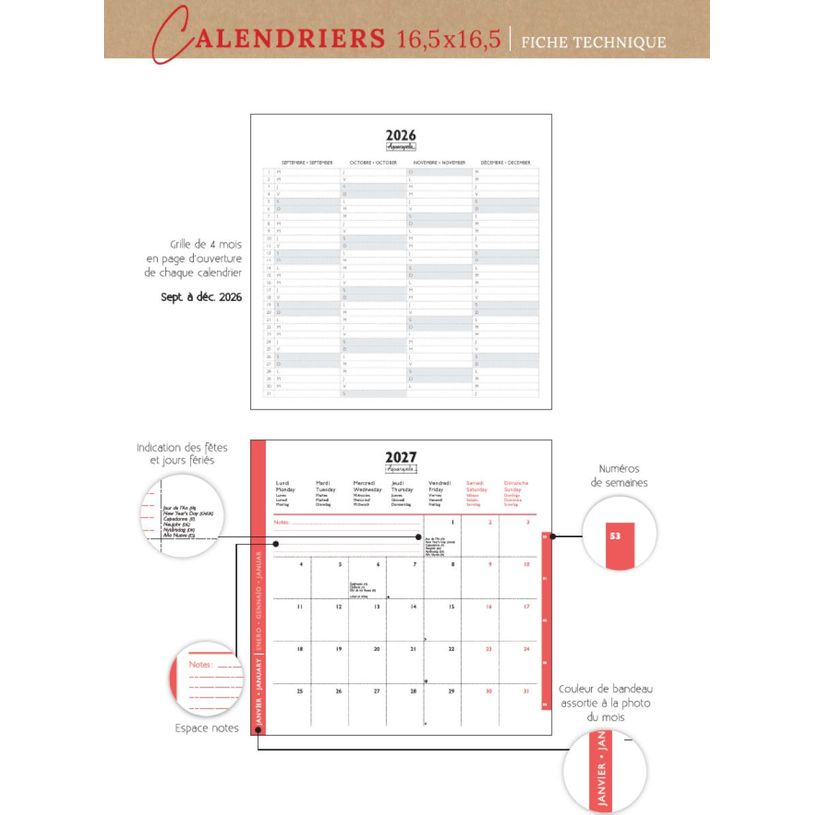3494150185415-Calendrier mensuel 16X16cm CHATONS -  16 mois Aquarupella --1
