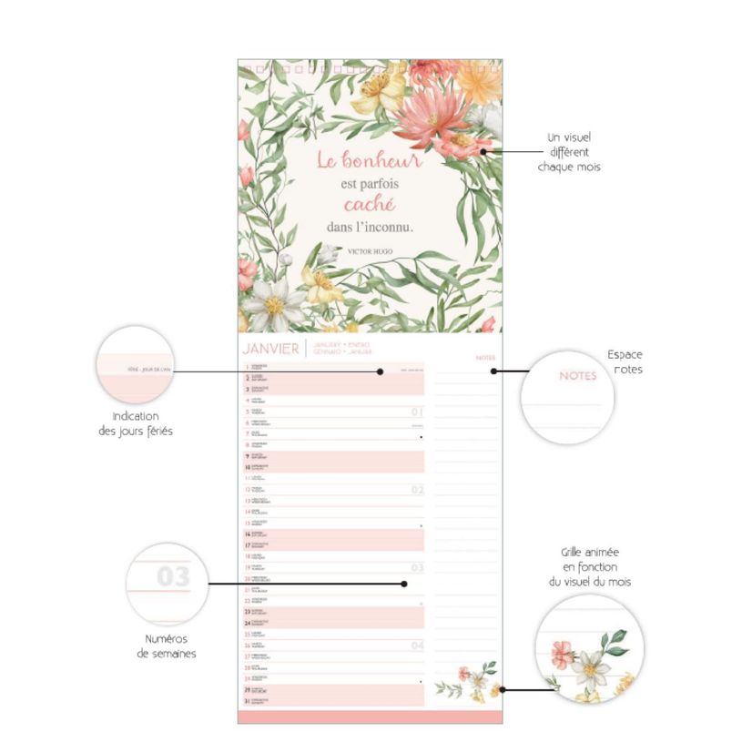 3494150186931-Calendrier long mensuel 16,5X41cm GB - L'ENVOL - 12 mois Aquarupella --2