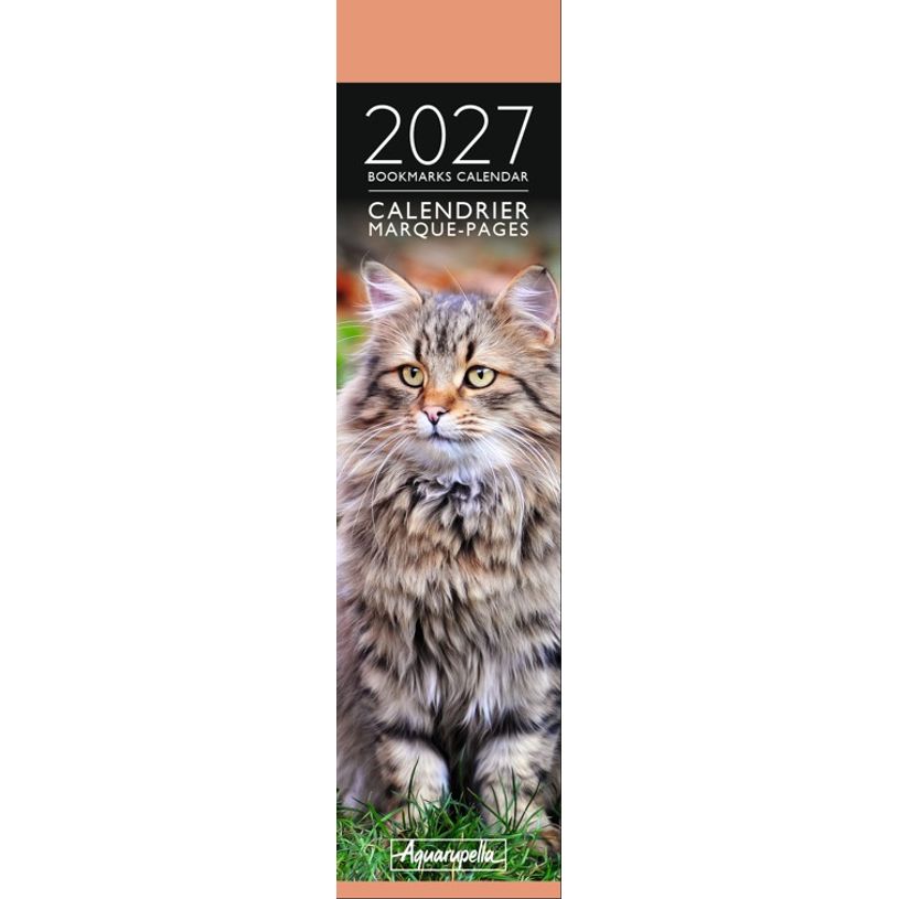3494150186566-Calendrier marque-pages mensuel 4X16cm CHAT PHOTOS --0
