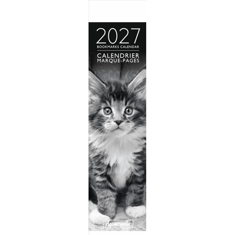 3494150186573-Calendrier marque-pages mensuel 4X16cm CHAT N&B PHOTOS --0