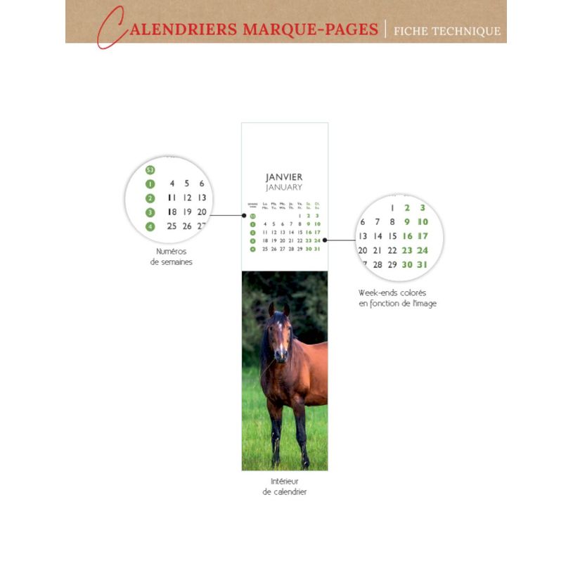3494150186597-Calendrier marque-pages mensuel 4X16cm CHIOTS PHOTOS --1