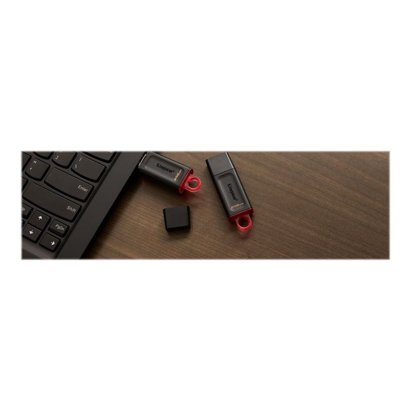 740617310023-Kingston DataTraveler Exode - Clé USB - 256 Go - USB 3.2 Gen 1 - noir/rose-P_405269541_2-8