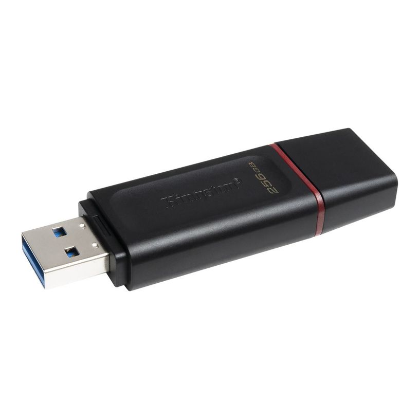 740617310023-Kingston DataTraveler Exode - Clé USB - 256 Go - USB 3.2 Gen 1 - noir/rose-P_405269541_7-0