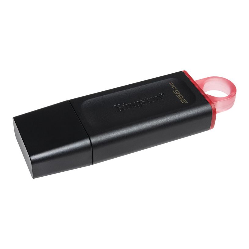 740617310023-Kingston DataTraveler Exode - Clé USB - 256 Go - USB 3.2 Gen 1 - noir/rose-P_405269541_8-1