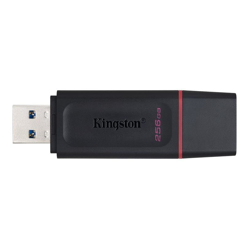 740617310023-Kingston DataTraveler Exode - Clé USB - 256 Go - USB 3.2 Gen 1 - noir/rose-P_405269541_9-2