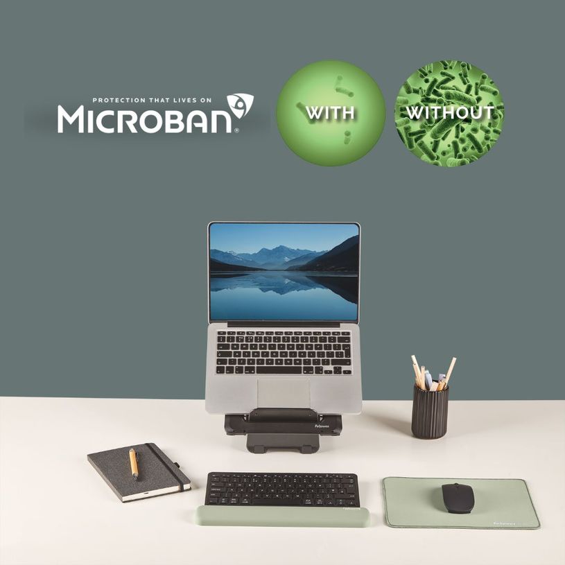 0043859808786-Fellowes Breyta - Tapis de souris XL - vert sauge--3