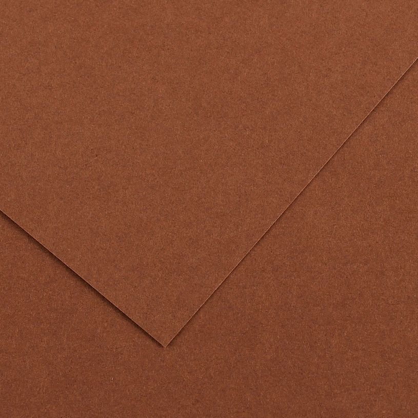 3148954222059-CANSON - 25 Feuilles Iris Vivaldi 50 x 65 cm - 120 g - Chocolat--0