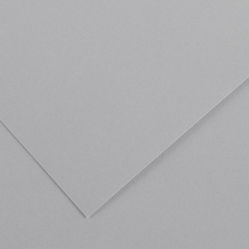3148954222066-CANSON - 25 Feuilles Iris Vivaldi 50 x 65 cm - 120 g - Gris Clair--0