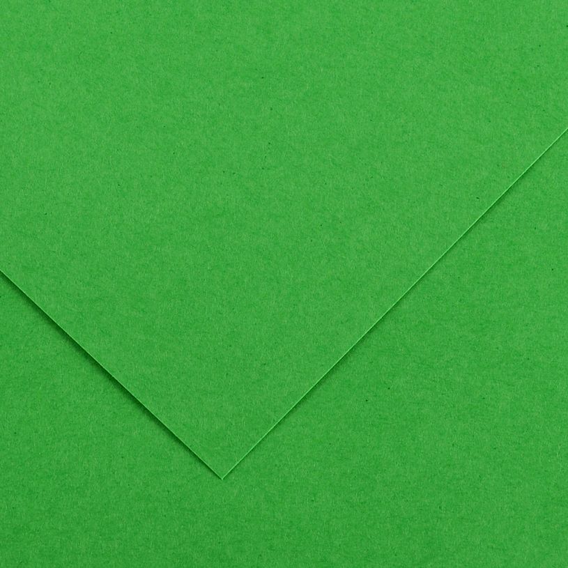 3148954222004-CANSON - 25 Feuilles Iris Vivaldi 50 x 65 cm - 120 g - Vert Franc--0