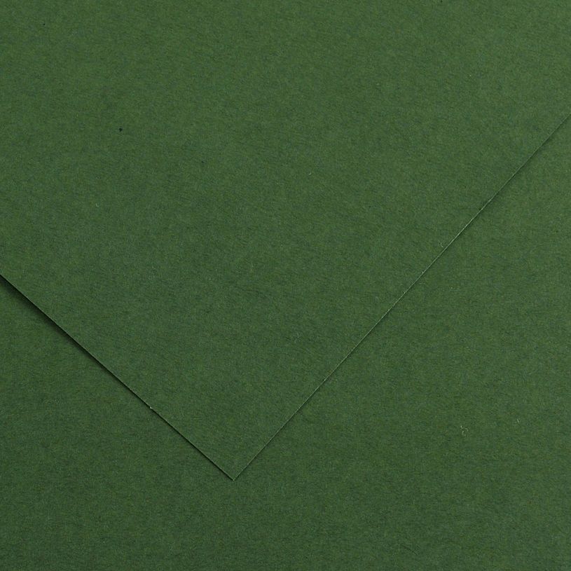 3148954222028-CANSON - 25 Feuilles Iris Vivaldi 50 x 65 cm - 120 g - Vert Sapin--0