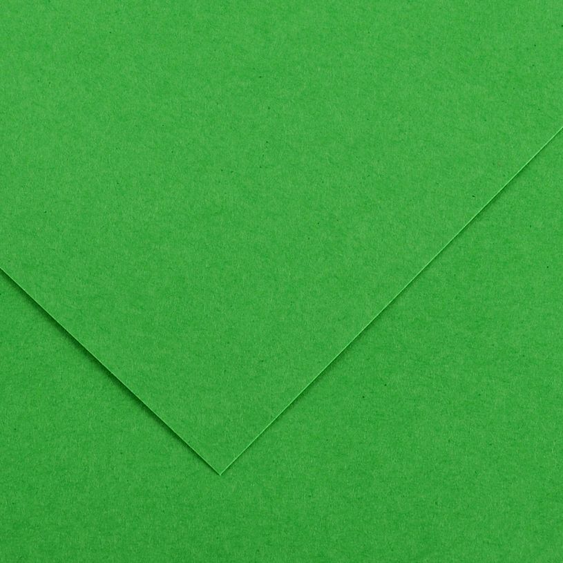 3148954224763-CANSON - 25 Feuilles Iris Vivaldi 50 x 65 cm - 240 g - Vert Franc--0