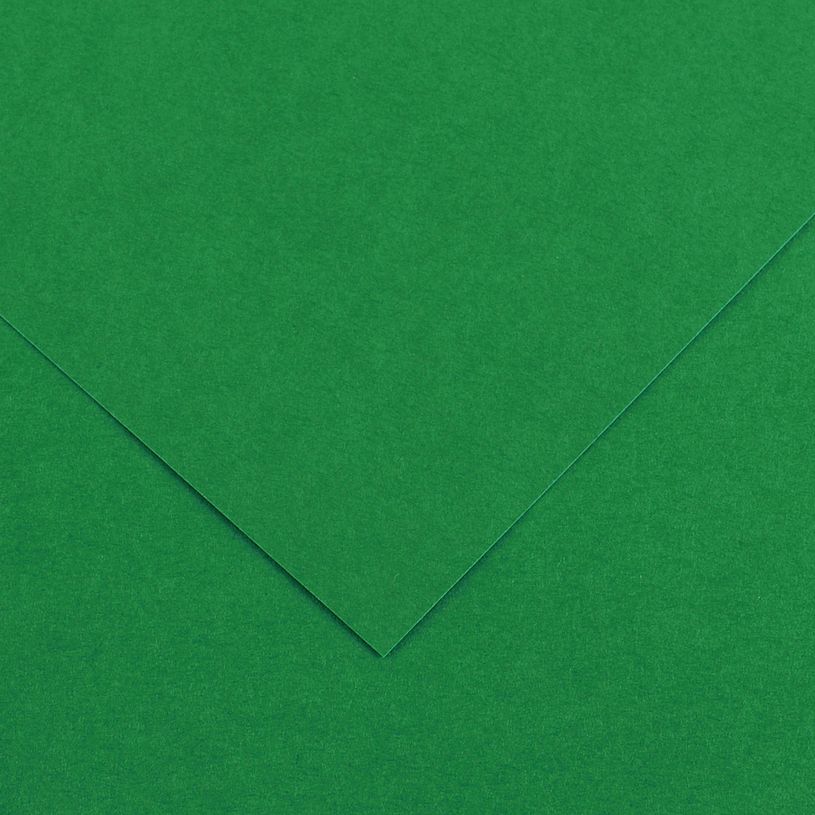 3148954224770-CANSON - 25 Feuilles Iris Vivaldi 50 x 65 cm - 240 g - Vert Mousse--0