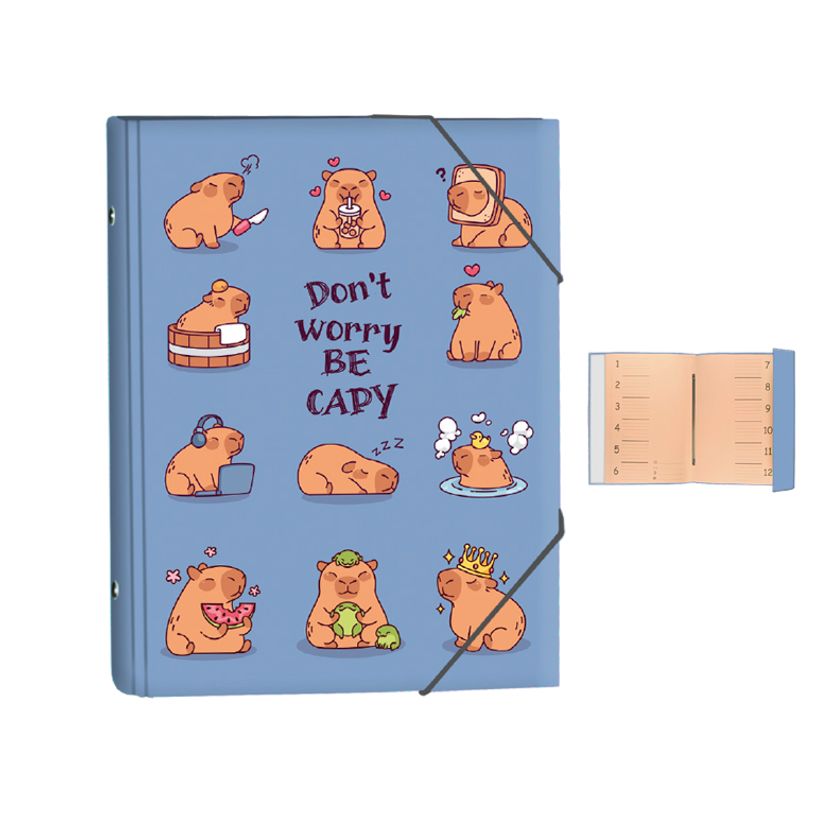 8412885256939-Carpeta clasificadora con solapa - Capibara--0