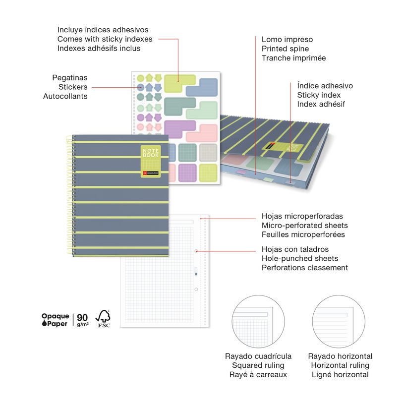 8422593045312-Miquelrius Notebook Between the lines - Cahier à spirale - A5 - 80 feuilles - petits carreaux (5x5 mm)--2
