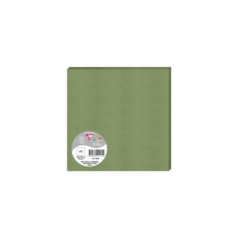 3329680011692-Pollen - 25 Cartes - 160 x 160 mm - 210 g/m² - vert sauge--0