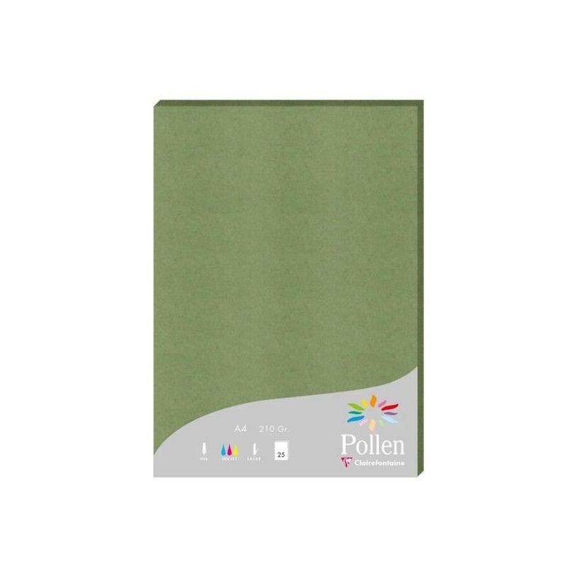 3329680242706-Clairefontaine Pollen - Papier de création - A4 210 g/m² Vert Sauge Lot de 25 feuilles-P_405272306_2-1
