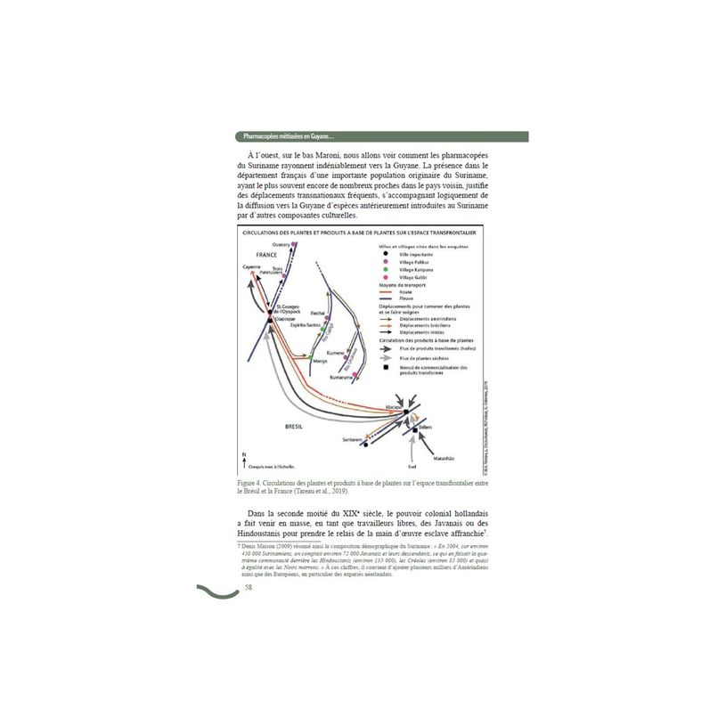 9791029807640-Pharmacopées métissées en Guyane - par Tareau Marc-Alexandre-P_405274329_7-6