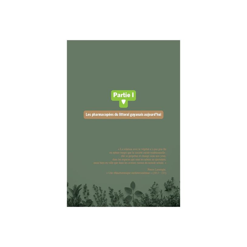 9791029807640-Pharmacopées métissées en Guyane - par Tareau Marc-Alexandre-P_405274329_9-1