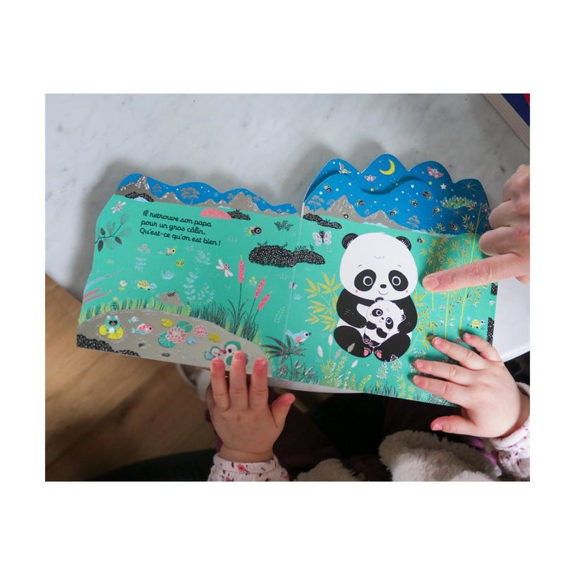 9782095024482-Au lit petit panda ! - Les petits amis-P_405274609_5-2