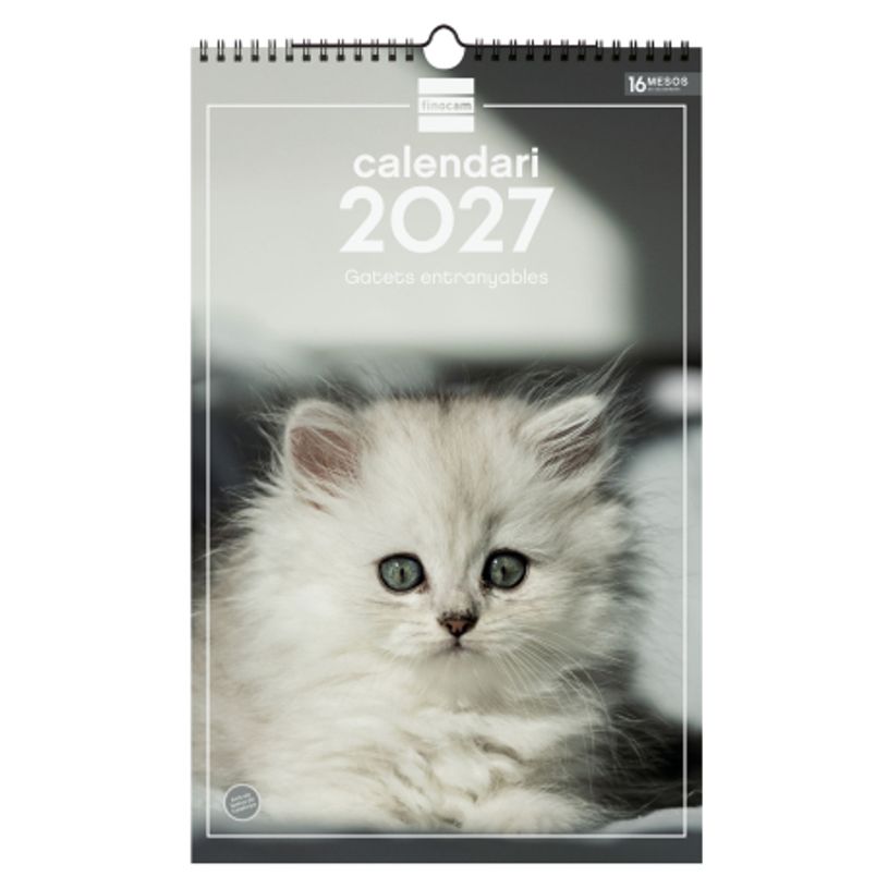 8422952424352-Finocam Calendario Imágenes De Pared Espiral Para Escribir 2027 – 250 x 400 mm--0