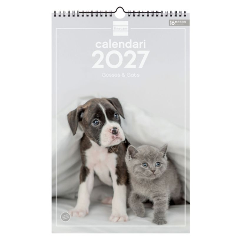 8422952424345-Finocam Calendario Imágenes De Pared Espiral Para Escribir 2027 – 250 x 400 mm--0
