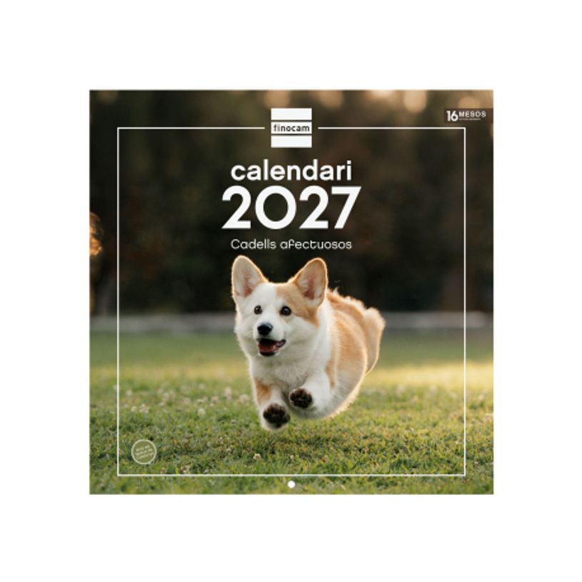 8422952424871-Finocam Calendario Imágenes De Pared 30X30 Para Escribir 2027 – 300 x 300 mm--0