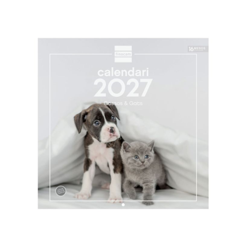 8422952424857-Finocam Calendario Imágenes De Pared 30X30 Para Escribir 2027 – 300 x 300 mm--0