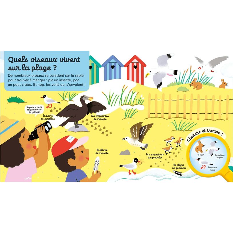 9782095060312-Questions/Réponses : La plage - Éditions Nathan-P_405282865_3-2