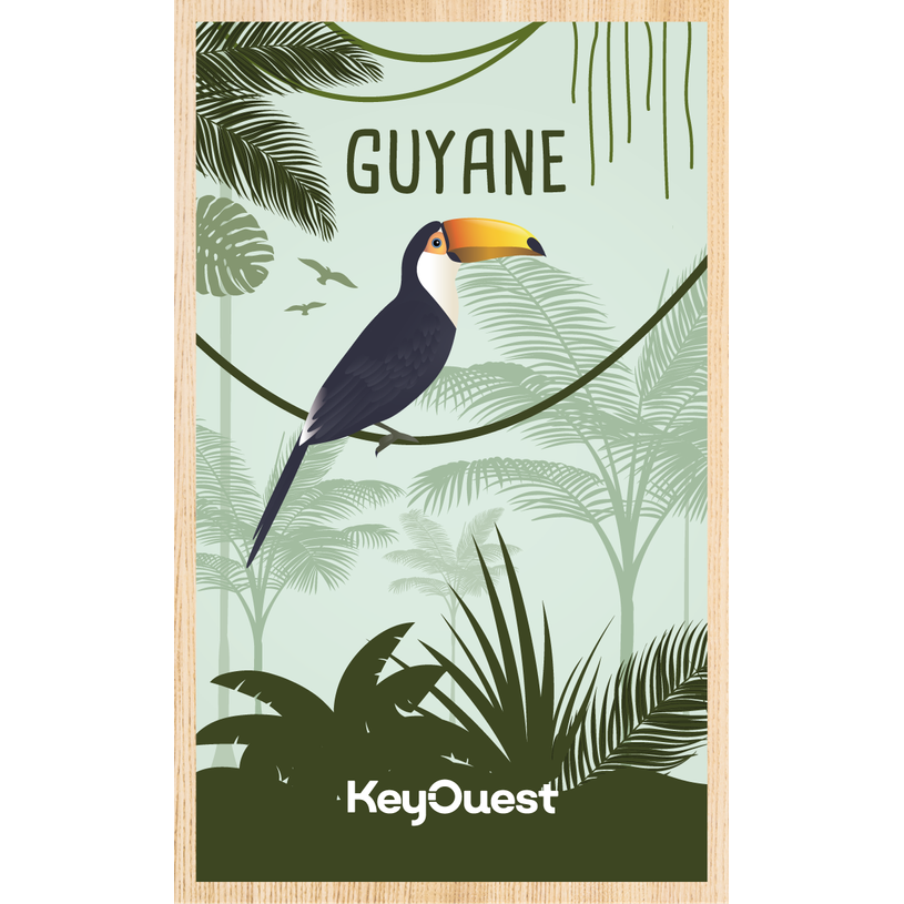 3662277076538-KeyOuest - Batterie externe Guyane26 - 10000mAh - Toucan--0