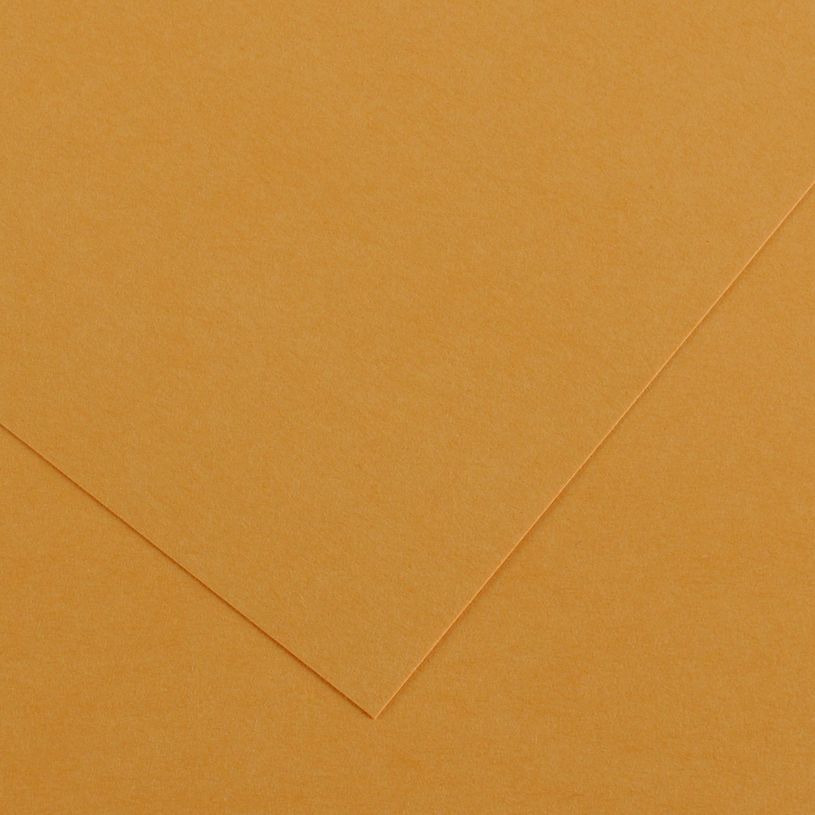 3148950401755-CANSON Iris Vivaldi - Papier - A4 - cuir--1