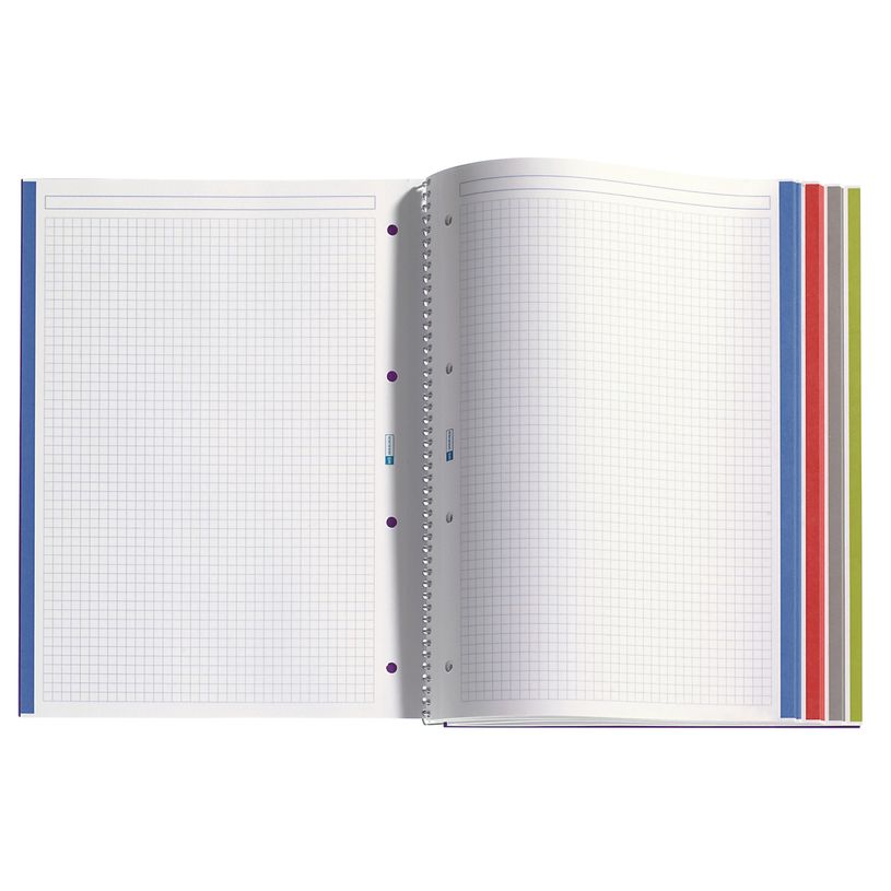 8422593471388-Notebook The Original, Couverture souple, A4, quadrillage 5x5 mm, 140 feuilles de 4 couleurs, Miquelriu--2