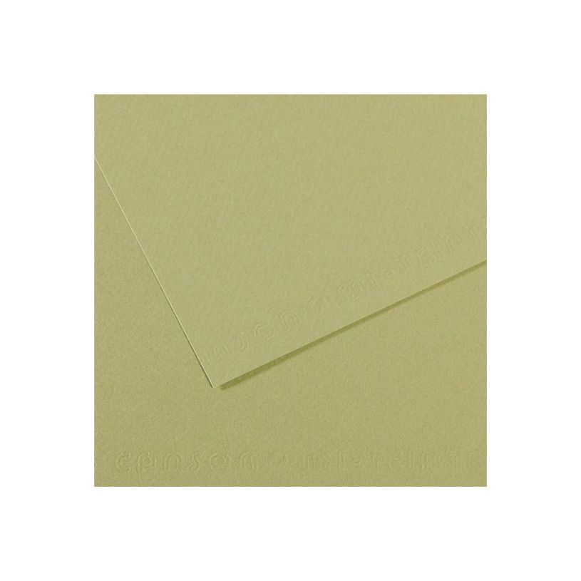 3148953211641-Canson Mi-Teintes - Papier à dessin - 500 x 650 mm - 10 feuilles - vert clair-P_511226_1-0