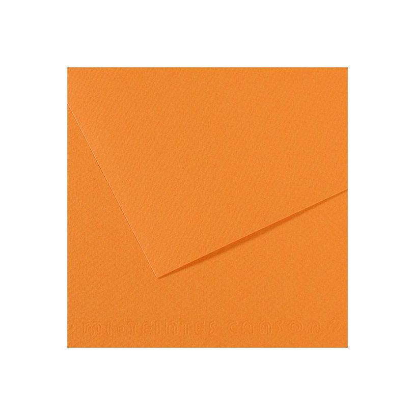 3148953211047-Canson Mi-Teintes - Papier à dessin - 500 x 650 mm - 10 feuilles - chamois-P_511237_1-0