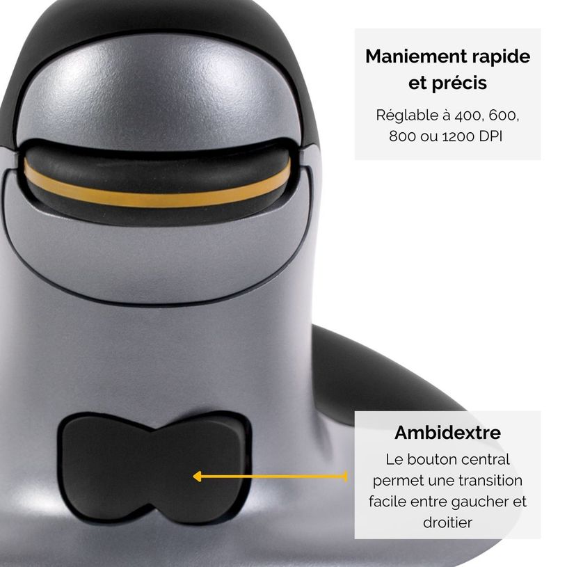 0043859735914-Fellowes - Souris sans fil ambidextre - Grand-P_614960_5-3