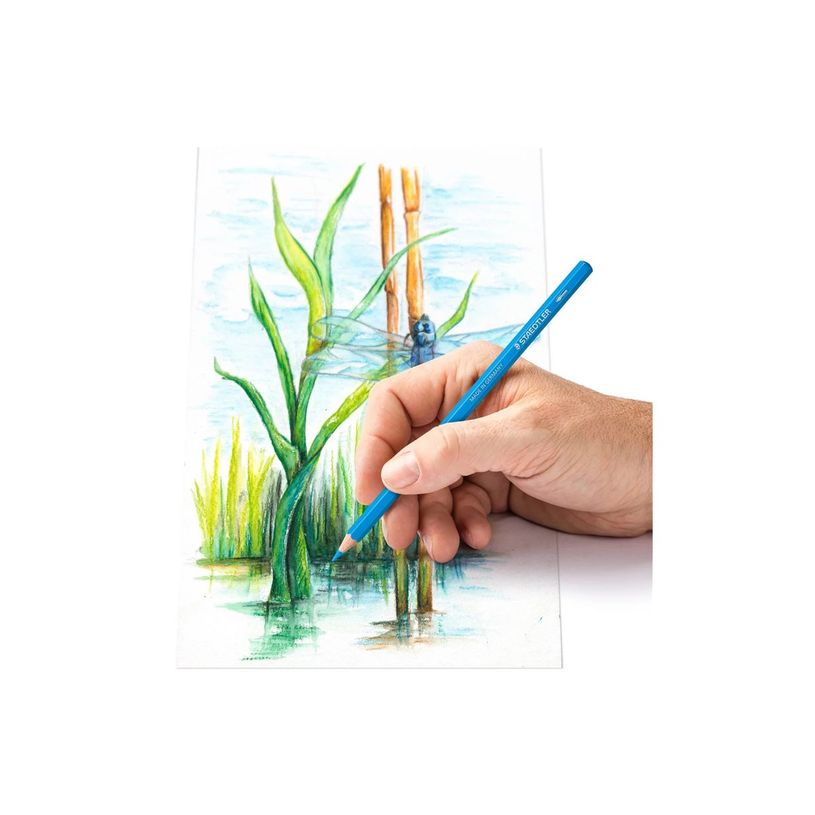 4007817139424-Staedtler Design Journey - 48 Crayons de couleur aquarellables-P_675915_8-7