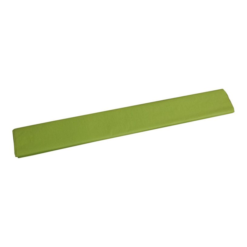 3065503952192-Clairefontaine - 8 feuilles de papier de soie - 50 x 75 cm - vert pomme-P_7300019_1-0