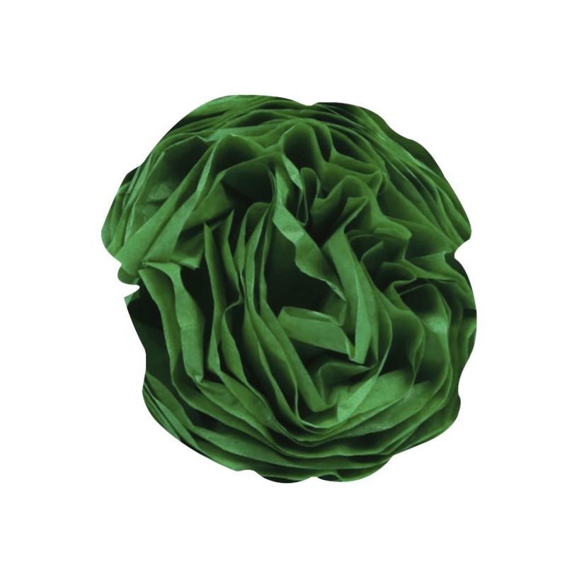 3065503952215-Clairefontaine - 8 feuilles de papier de soie - 50 x 75 cm - vert-P_7300021_1-1