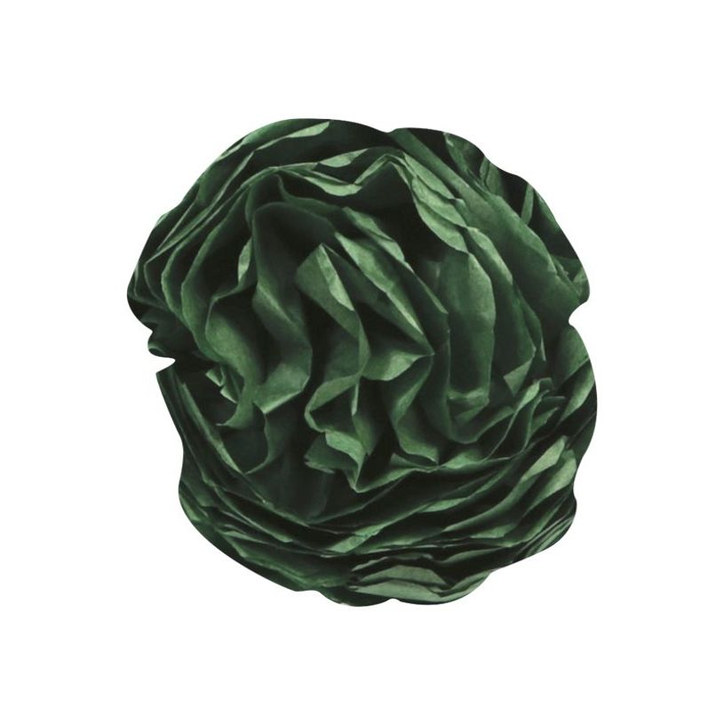 3065503952741-Clairefontaine - 8 feuilles de papier de soie - 50 x 75 cm - vert bouteille-P_7300074_1-2