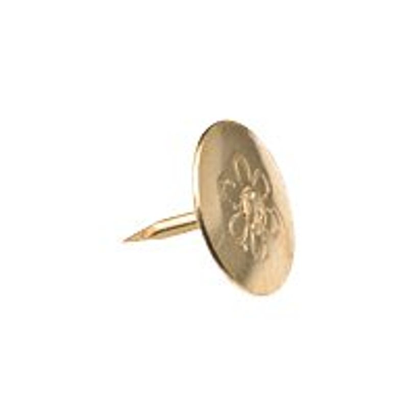 3457707551118-Wonday - 100 Punaises laitonnées (sachet)-P_755111_1-0