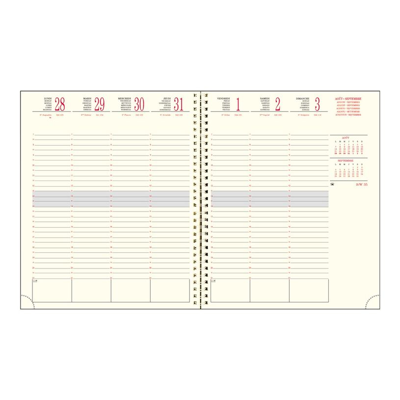 3660942011501-Agenda de bureau spiralé 16 mois Linicolor - 1 semaine sur 2 pages - 18,5 x 22,5 cm - disponible dans diff-P_77032340_1-6