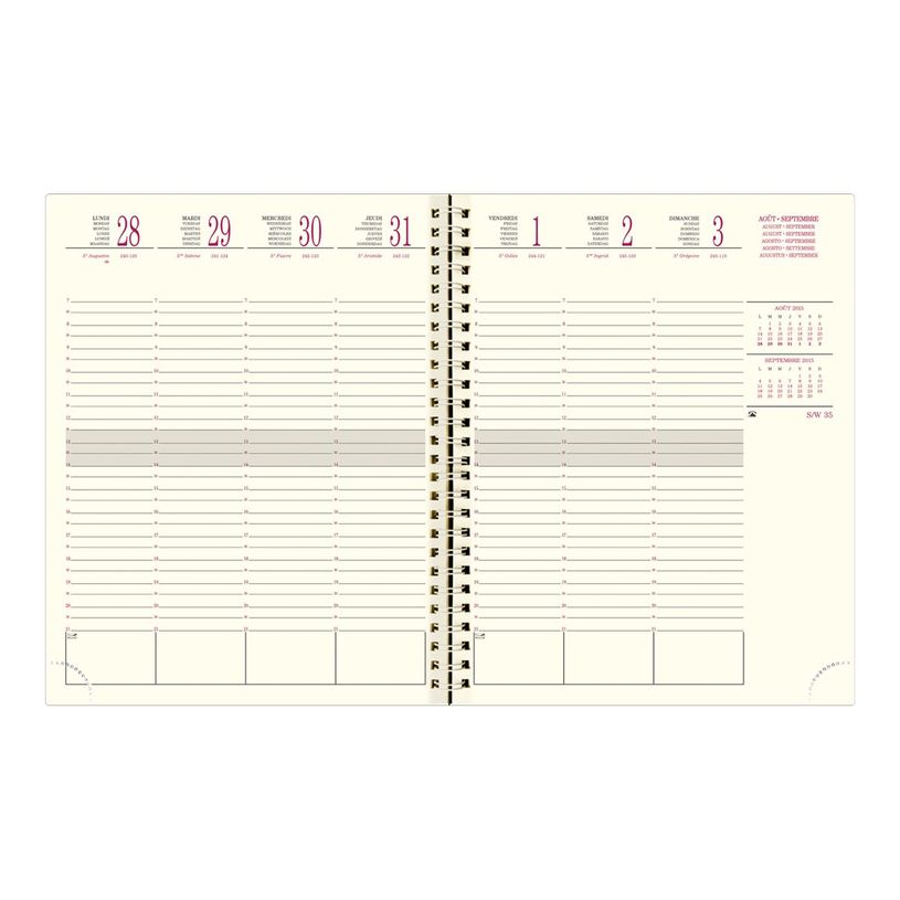 3660942011501-Agenda de bureau spiralé 16 mois Linicolor - 1 semaine sur 2 pages - 18,5 x 22,5 cm - disponible dans diff-P_77032340_8-5