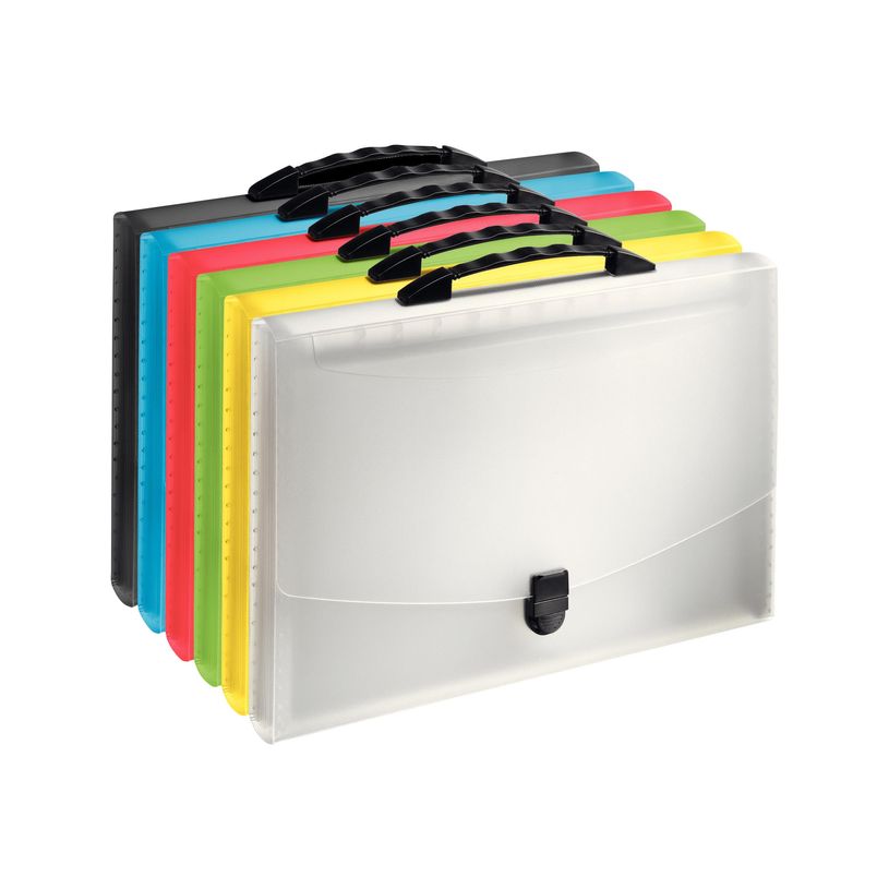 4049793028507-Esselte Vivida - Classeur ménager (valisette trieur) 12 onglets - disponible dans différe-P_79130360_2-0