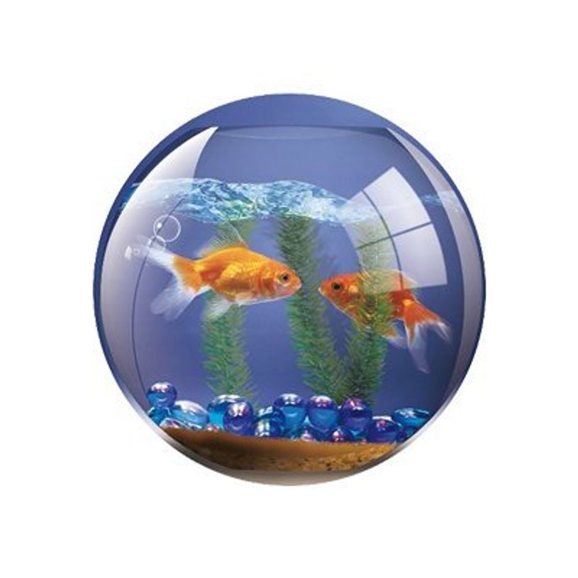 0400791363870-Fellowes BritePad - Tapis de souris - Bocal-P_79136387_1-0