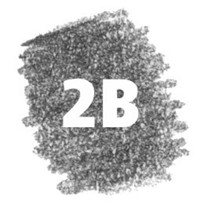 4007817213520-STAEDTLER Mars micro - Etui de 12 Mines pour porte mines - 2B - 0,5 mm-P_79139654_2-1