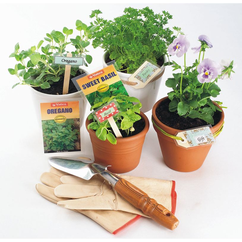 0077511530876-Fellowes - 100 pochettes de plastification A4 (216 x 303 mm) - 175 microns - brillantes -P_79140743_4-3