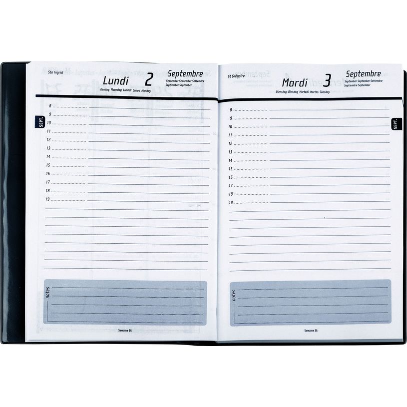 3108720613603-Grand agenda Boréal - 1 jour par page - 15 x 21,6 cm - disponible dans différentes couleu-P_79143641_6-5