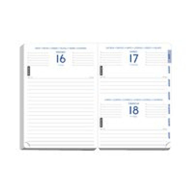 3660942000093-Agenda Les Vilaines Filles - 1 jour par page - 12,5 x 17,5 cm - disponible dans différent-P_79144079_1-11