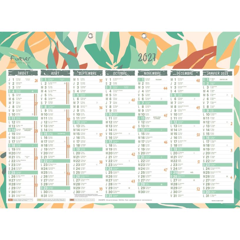3660942004855-Calendrier recyclé Forever - 7 mois par face - 55 x 40,5 cm - Exacompta--1