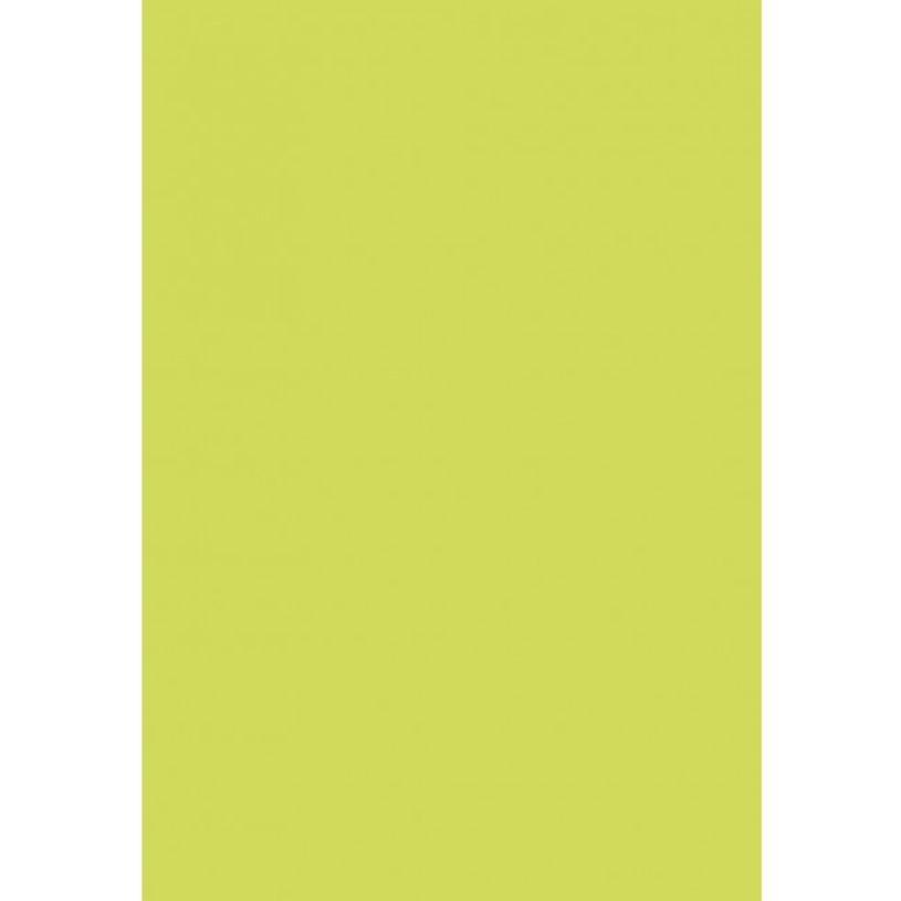 0400791467523-Pollen - 50 Feuilles papier couleur - A4 (21 x 29,7 cm) - 120 g/m² - vert bourgeon-P_79146752_1-0